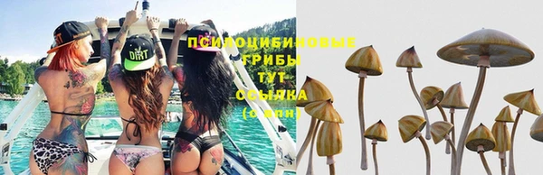 тгк Армянск