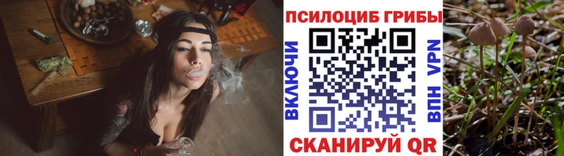 Купить где  Белоярский  Галлюциногенные грибы мицелий 